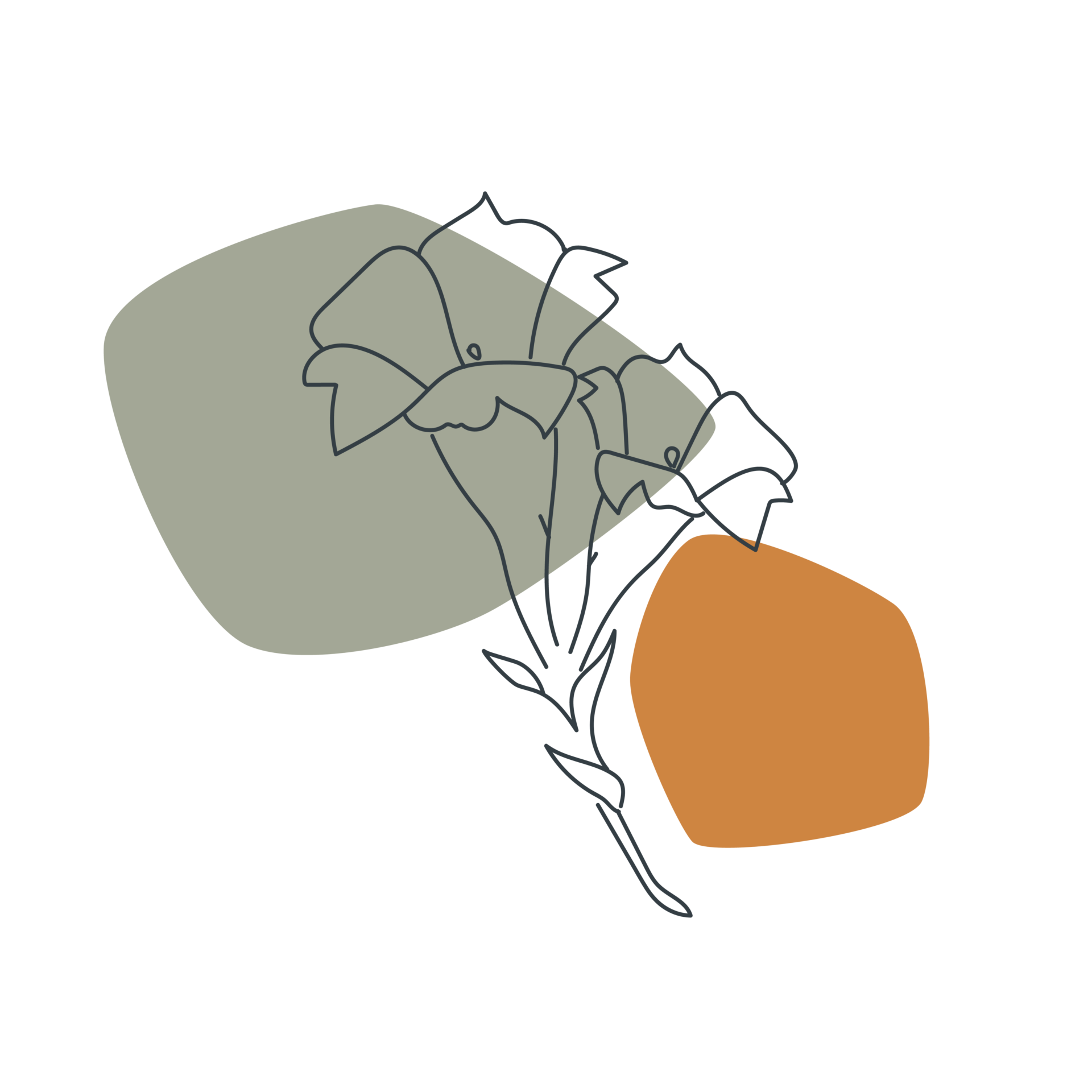 LACET Illustration Blume