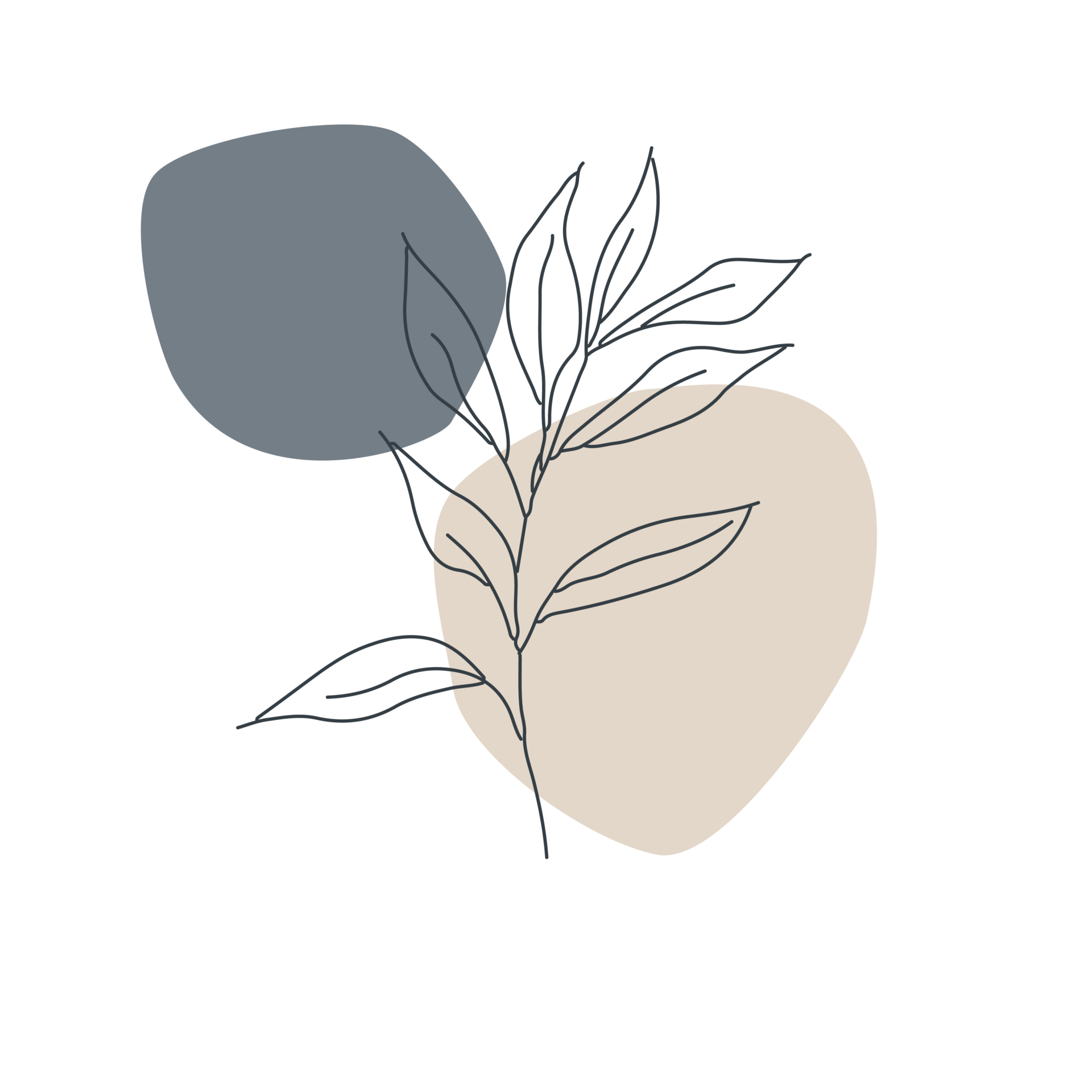 LACET Illustration Gras