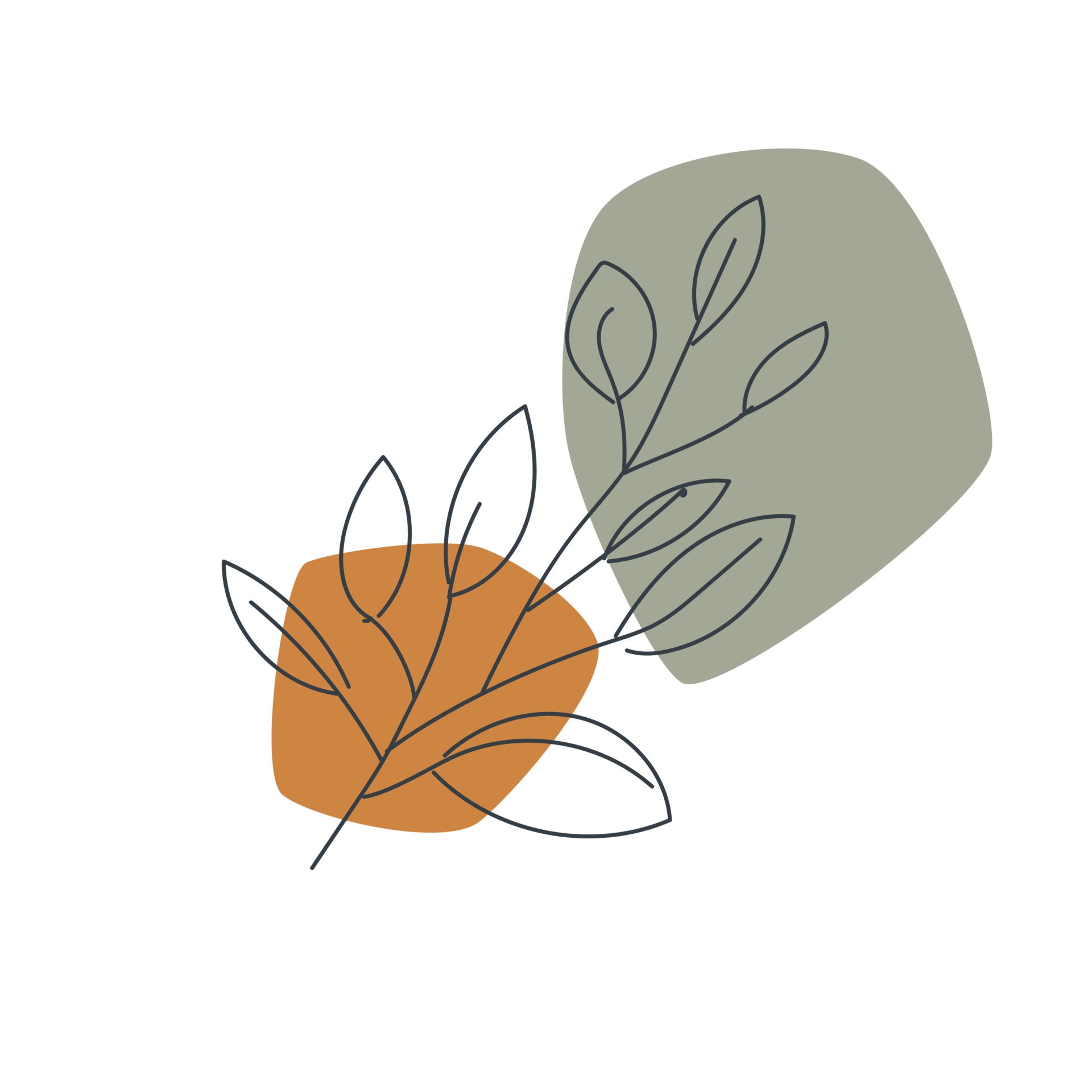 Lacet_Illustrationen-13 LACET Illustration