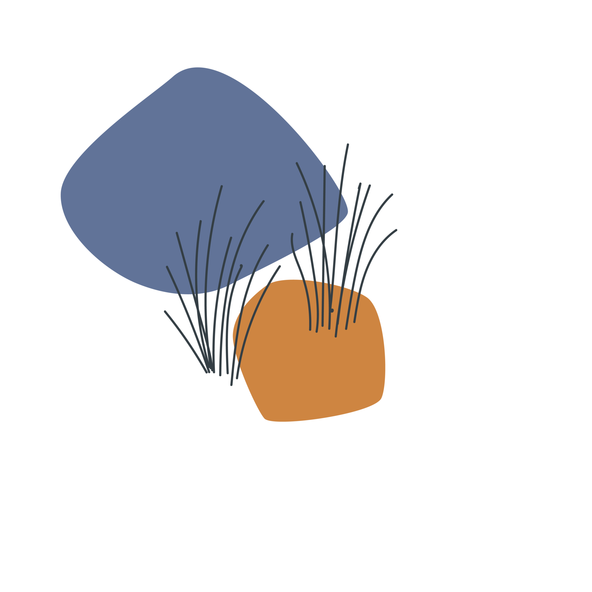 LACET Illustration Grashalme