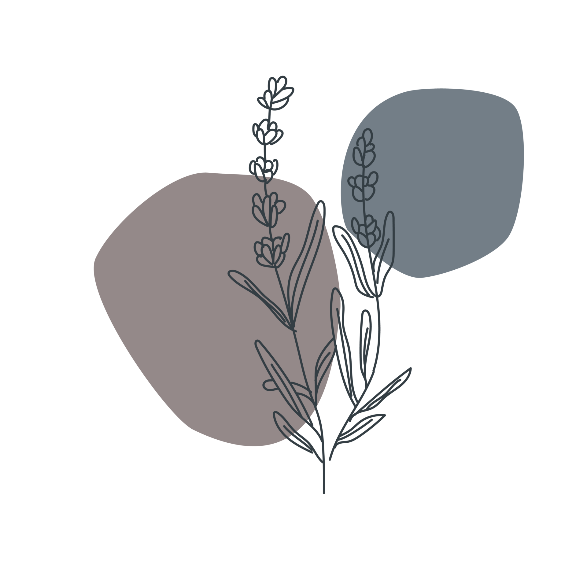 LACET Illustration Blume