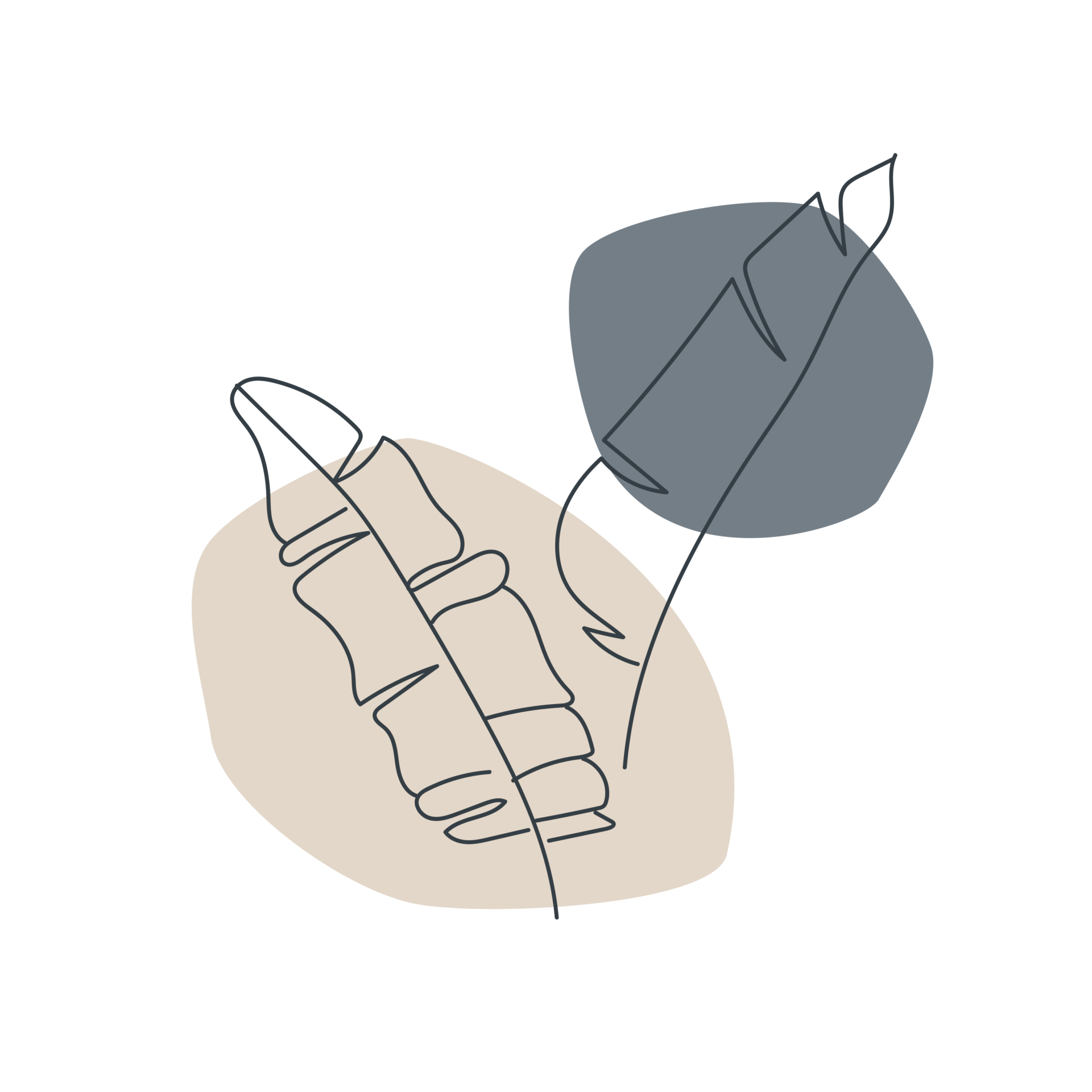 LACET Illustration Farn
