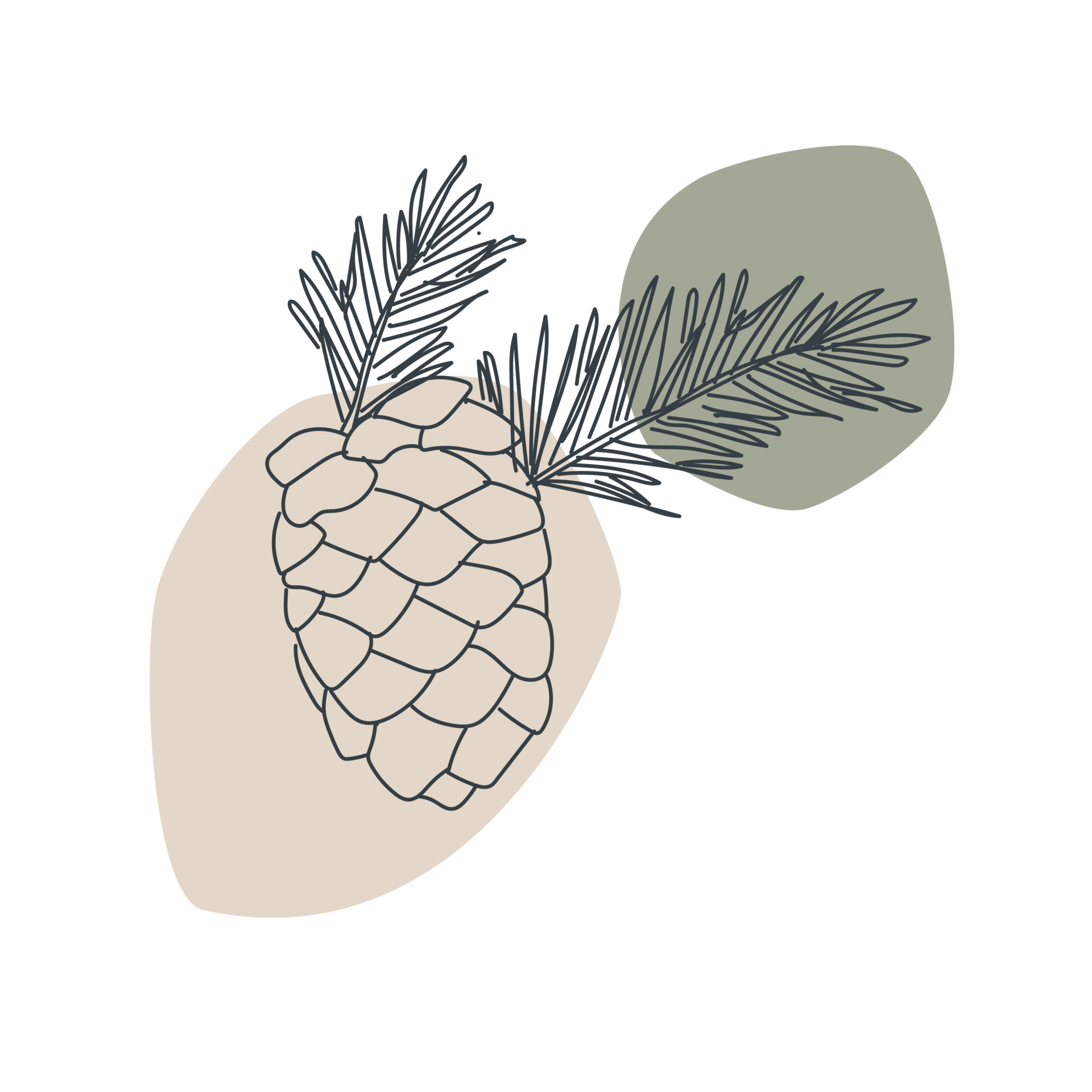 LACET Illustration Ananas